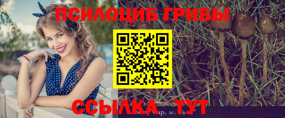 Псилоцибиновые грибы GOLDEN TEACHER Отрадный